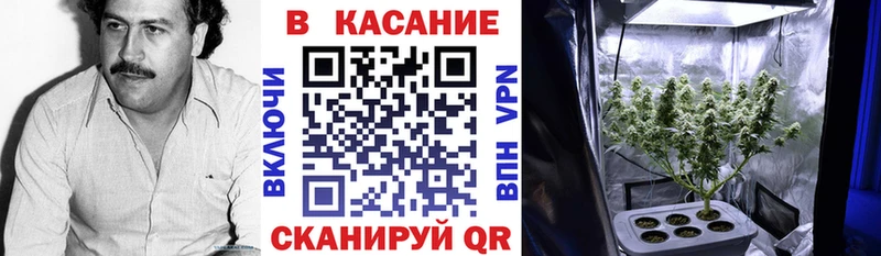 Наркошоп купить Alpha PVP МЕФ Михайлов