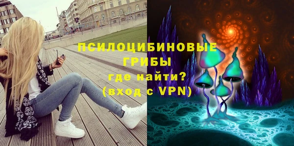 бутират Лагань